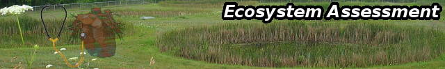 Ecosystem Assessment